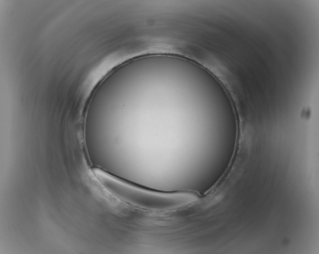 X0000113231342200910011400