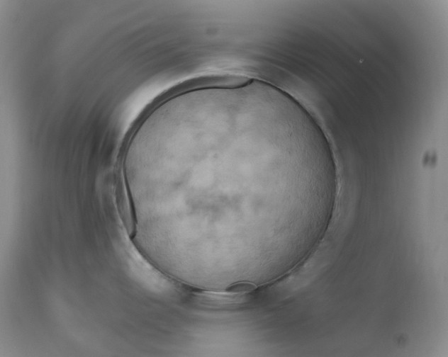 X0000113231344200910011400