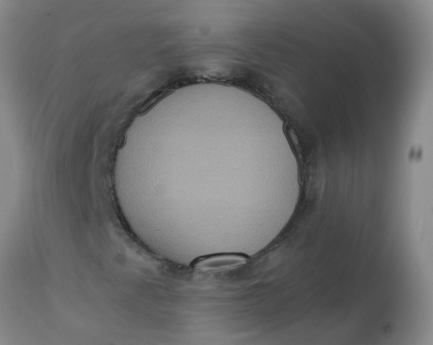 X0000113231345200910011359