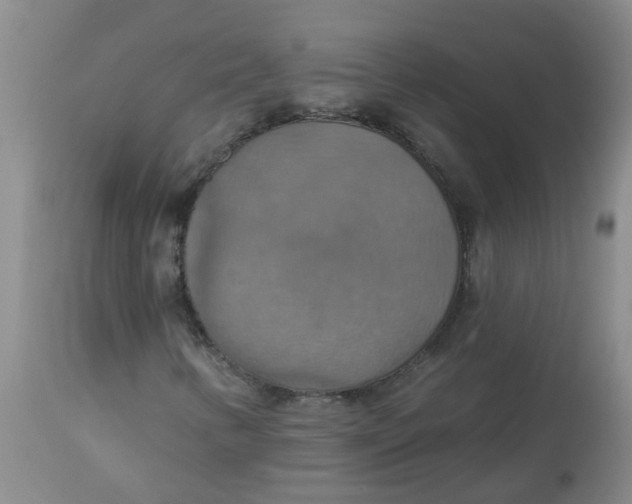 X0000113231346200910011359