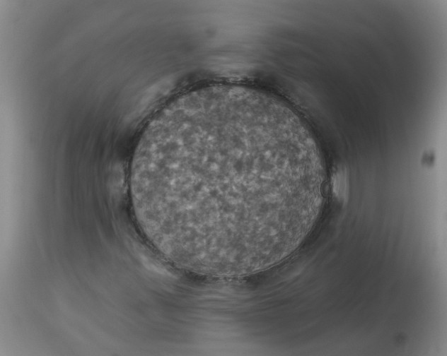 X0000113231347200910011359