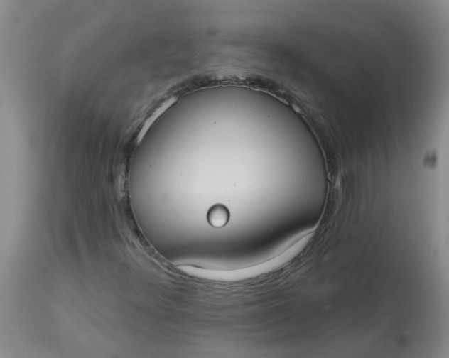 X0000113231348200910011359