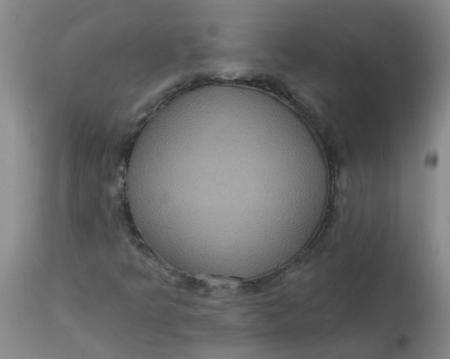 X0000113231349200910011359