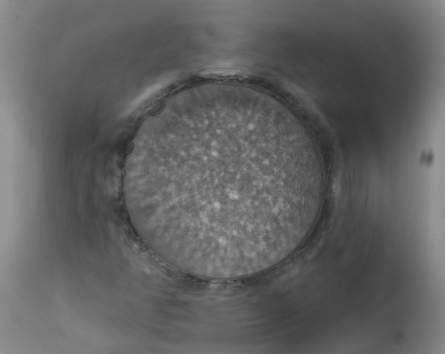 X0000113231350200910011359