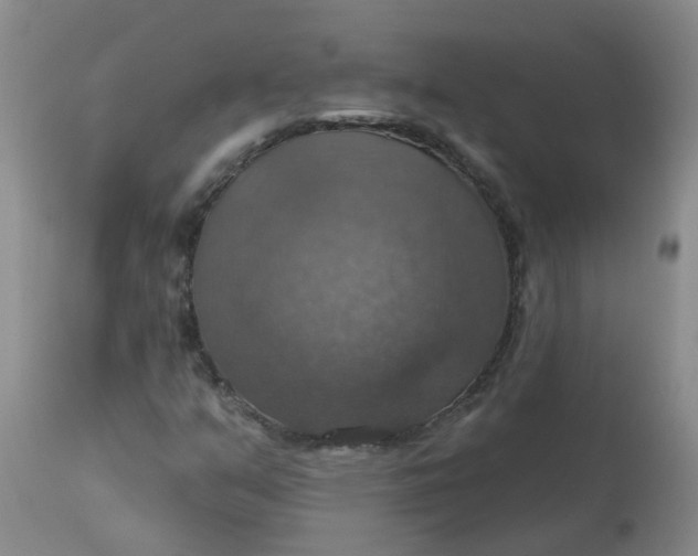 X0000113231351200910011359