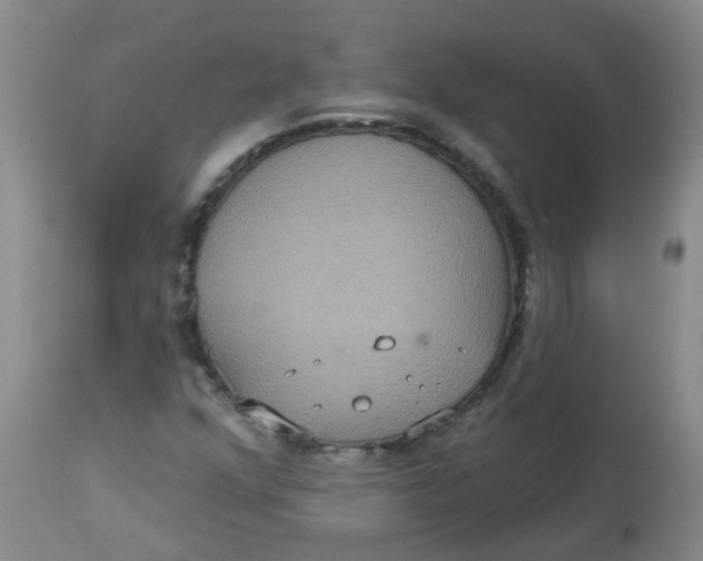 X0000113231352200910011359