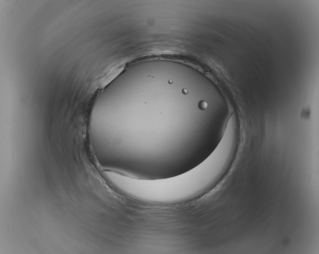 X0000113231353200910011359