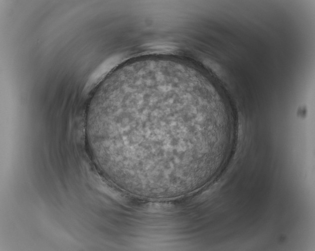 X0000113231354200910011359