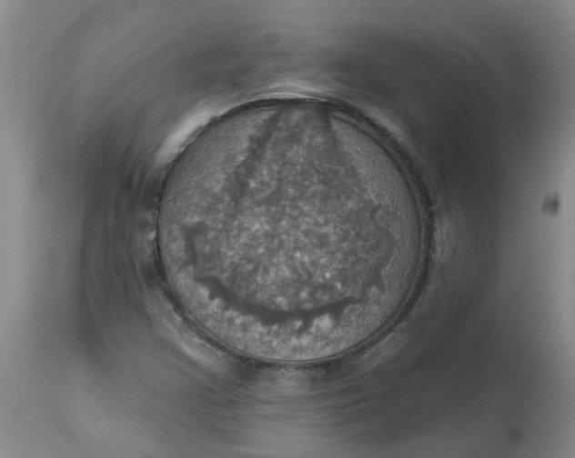 X0000113231355200910011359