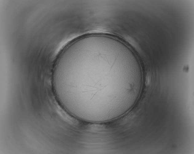 X0000113231356200910011359