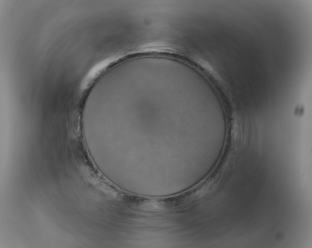 X0000113231358200910011359