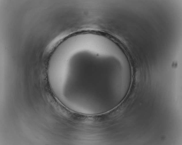 X0000113231359200910011359