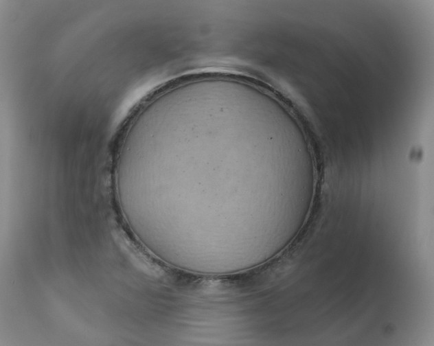 X0000113231360200910011359