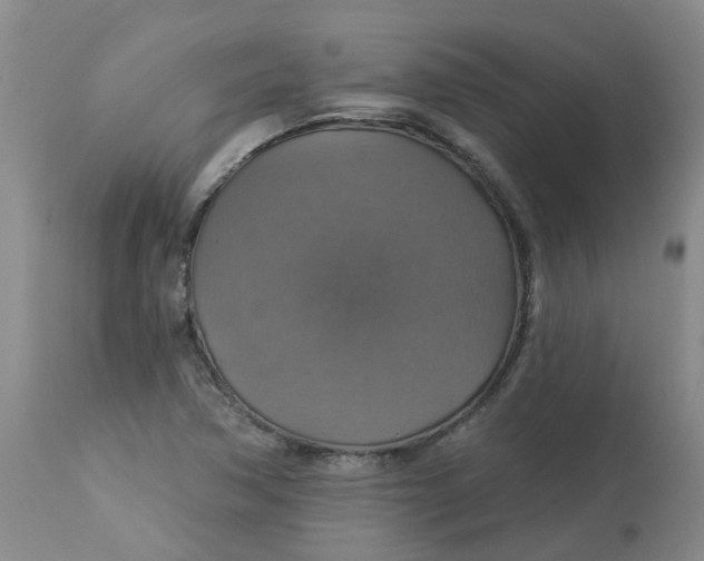 X0000113231362200910011359