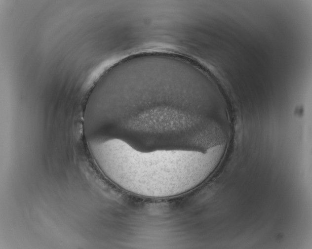 X0000113231363200910011359