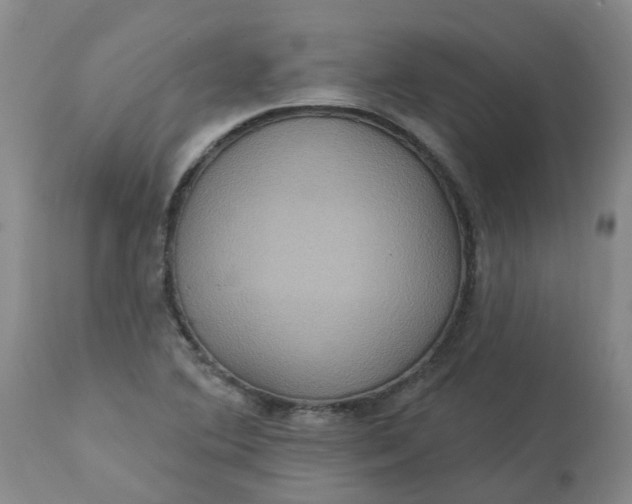 X0000113231364200910011359