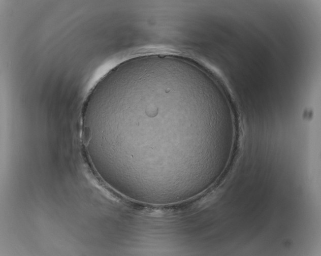 X0000113231365200910011359