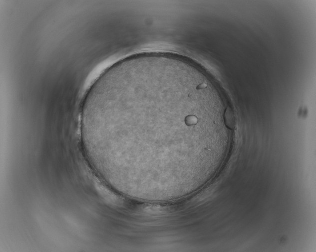 X0000113231366200910011359