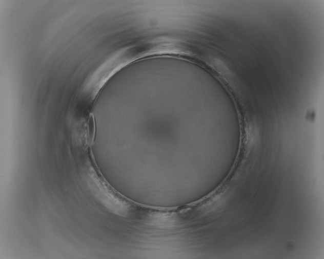 X0000113231369200910011359