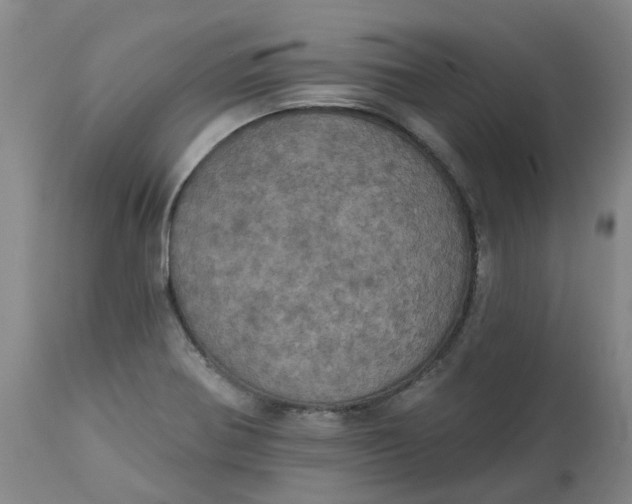 X0000113231370200910011359