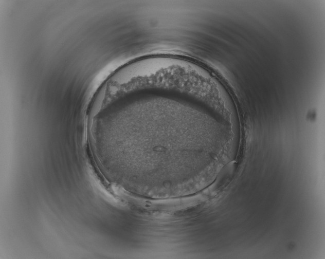 X0000113231371200910011359