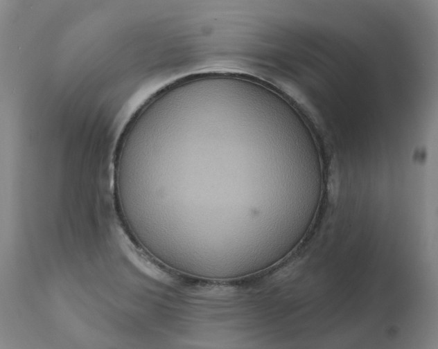 X0000113231372200910011359