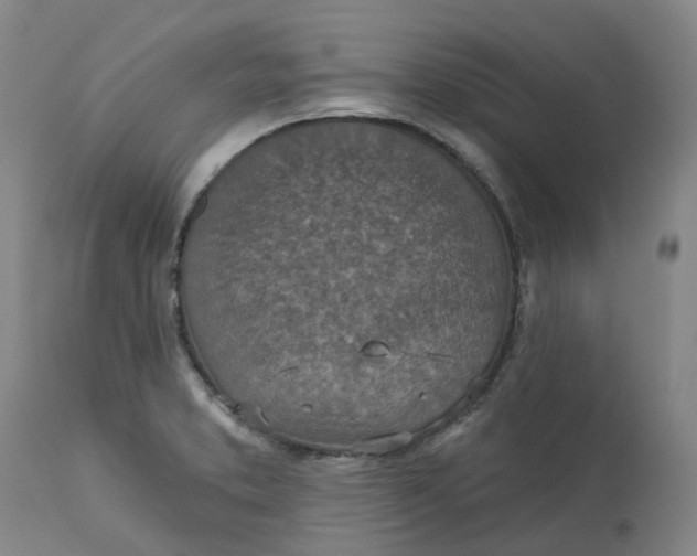 X0000113231373200910011359