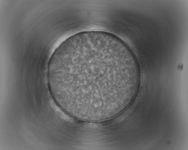 X0000113231374200910011359