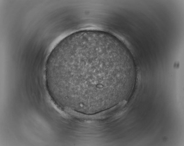 X0000113231375200910011359