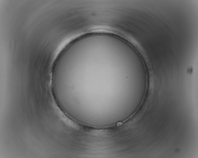 X0000113231376200910011359