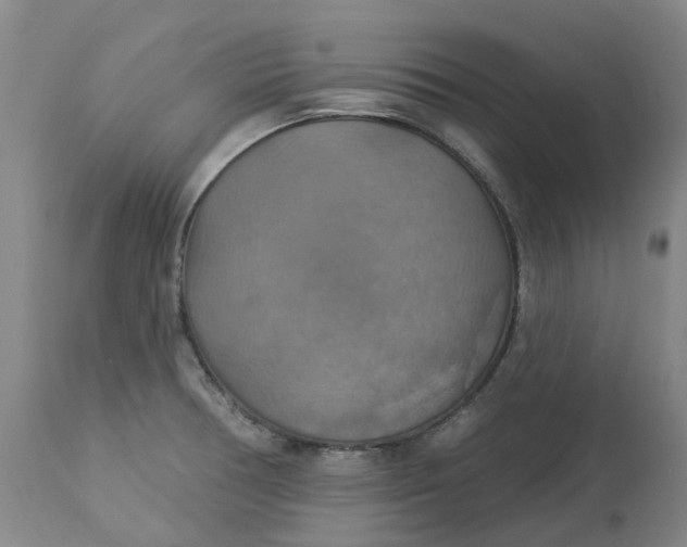 X0000113231378200910011359