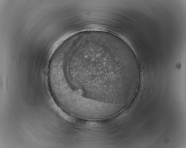 X0000113231379200910011359