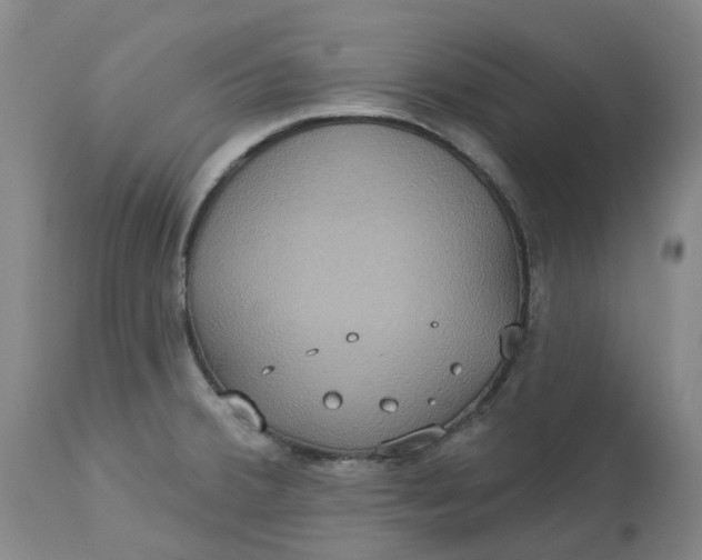 X0000113231380200910011359