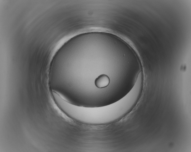 X0000113231381200910011359