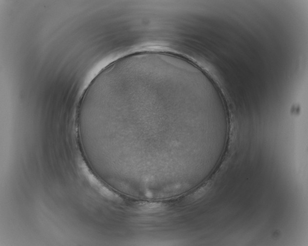 X0000113231382200910011359