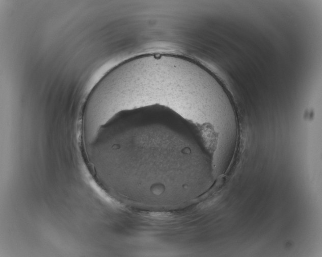 X0000113231383200910011359