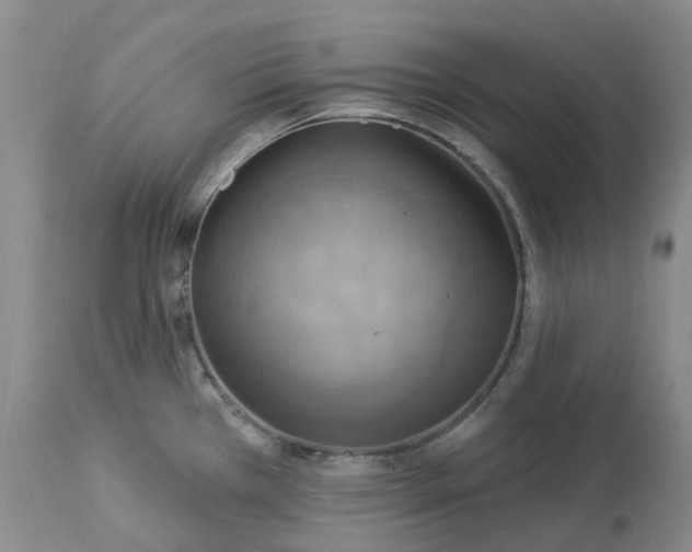 X0000113231385200910011359