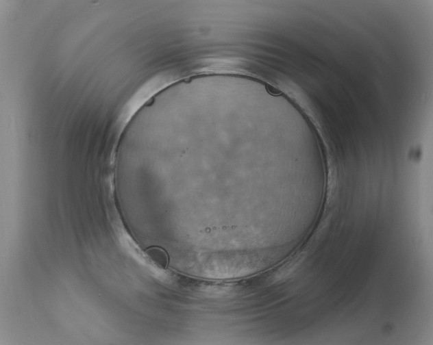 X0000113231386200910011359