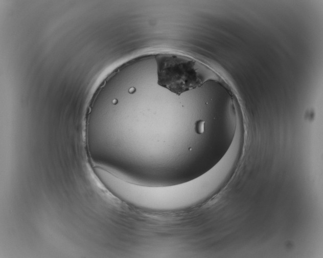 X0000113231388200910011359