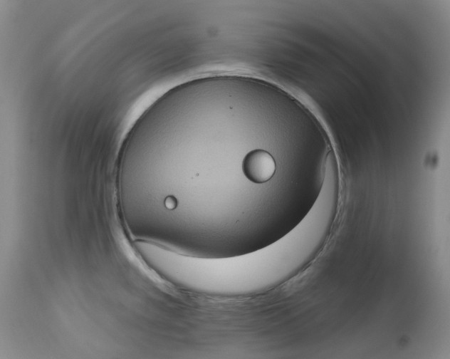 X0000113231389200910011359