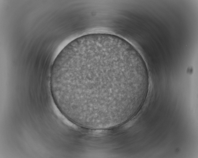 X0000113231390200910011359