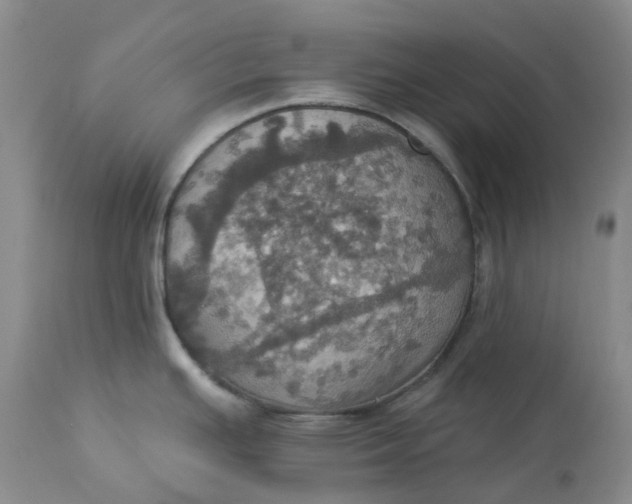 X0000113231391200910011359