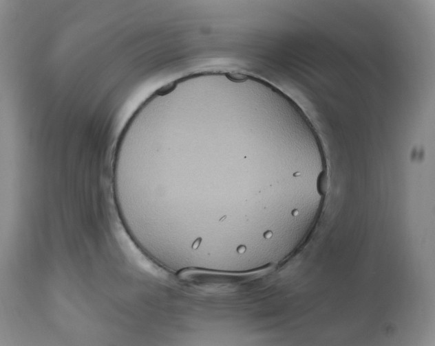 X0000113231392200910011359