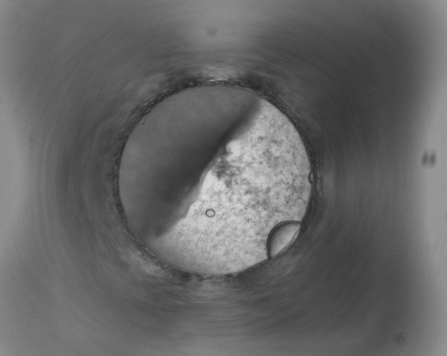 X0000113231393200910011358