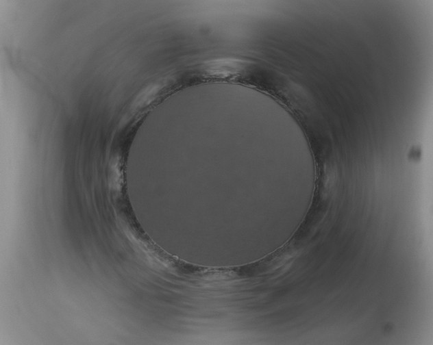 X0000113231394200910011358