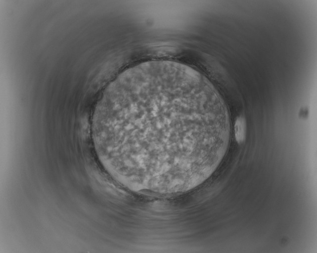 X0000113231395200910011358