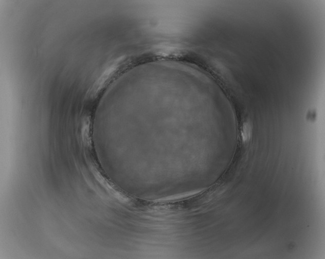 X0000113231396200910011358