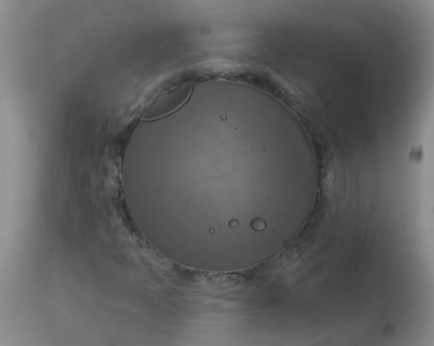 X0000113231397200910011358