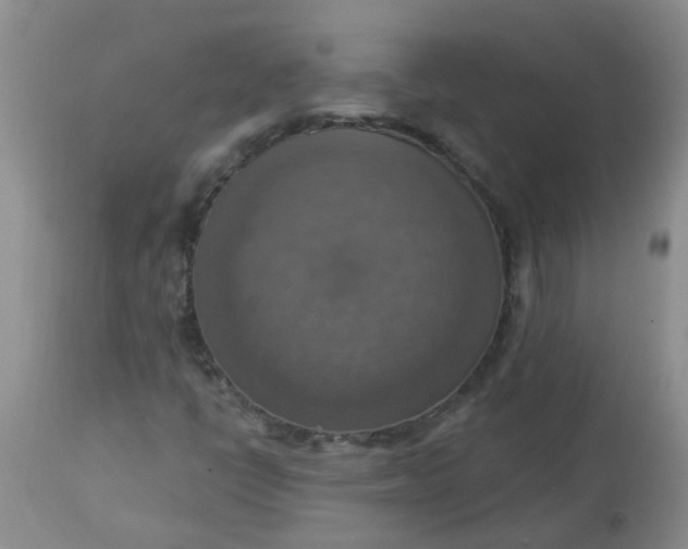 X0000113231398200910011358