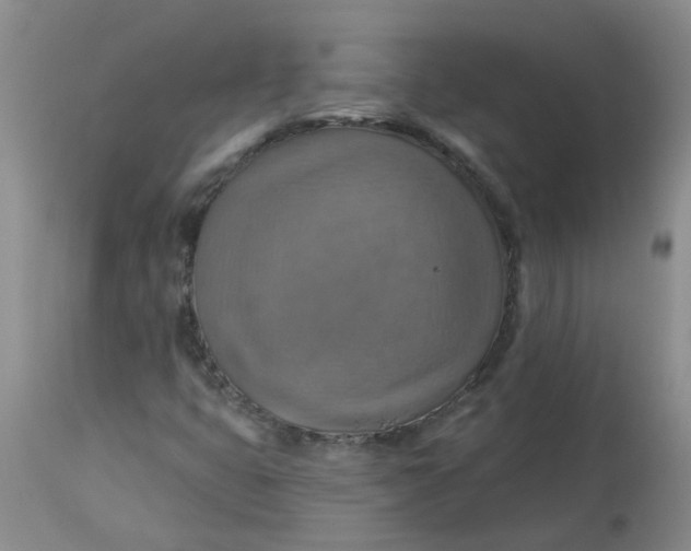 X0000113231399200910011358